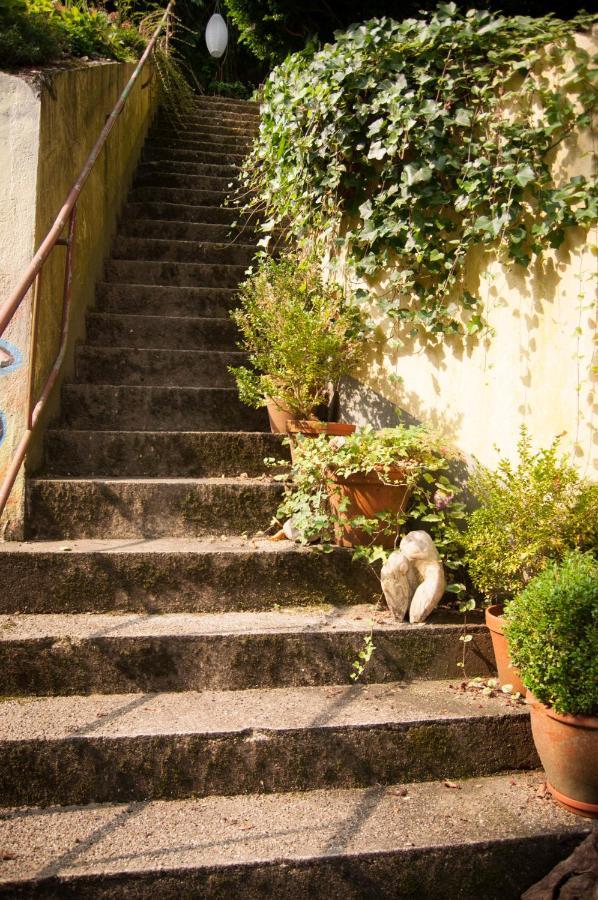 Also-Hotel An Der Hardt Βούρπεταλ Εξωτερικό φωτογραφία